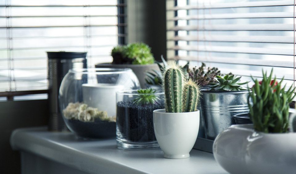 pots-716579_1920-960x565.jpg